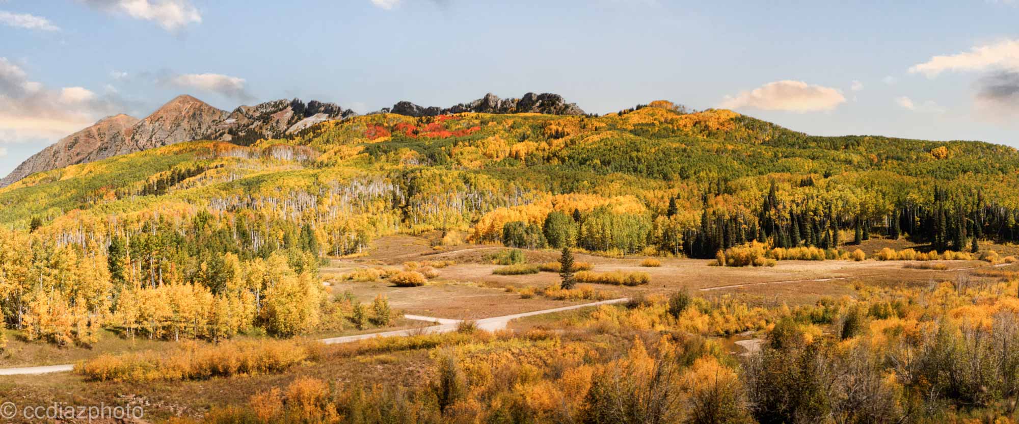 Colorado Fall Colors