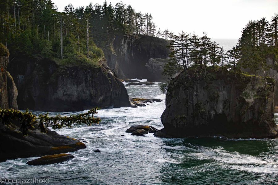 Washington Coast