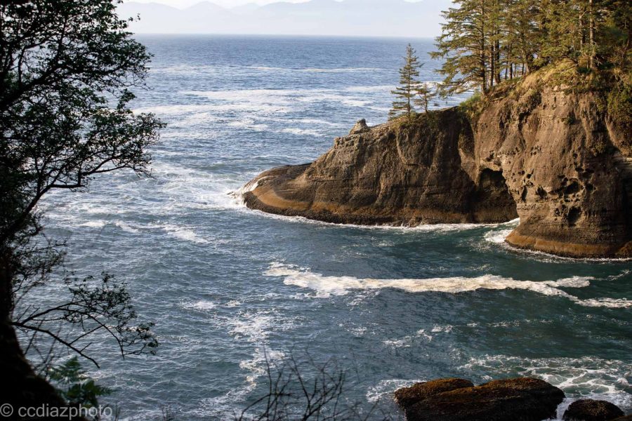 Washington Coast