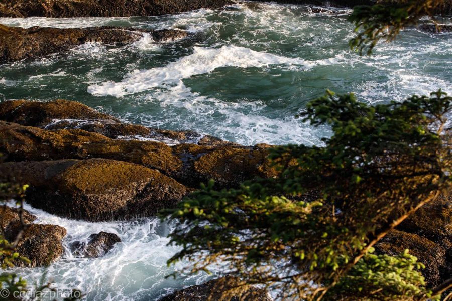 Oregon Coast