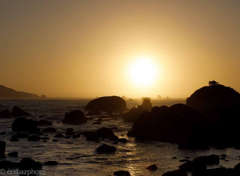 Oregon Coast