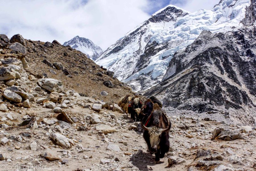 Himalayan Mountains